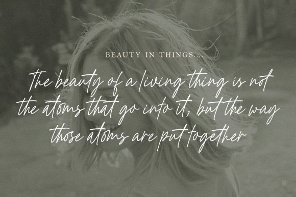 Golden Hopes: Elevating Web Design with a Dazzling Script Typeface