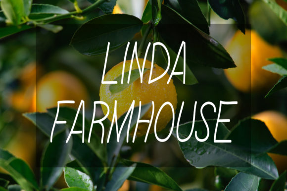 Linda Farmhouse: A Handwritten Typeface for Authentic Brand Identity