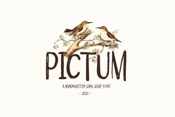 Pictum Typeface Review: A Quirky Display Font for Bold Branding